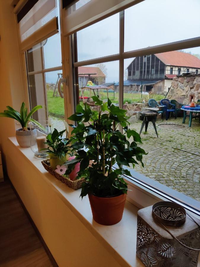 Neundorf  Ferienwohnung Brunow "In Der Natur Zuhause" מראה חיצוני תמונה