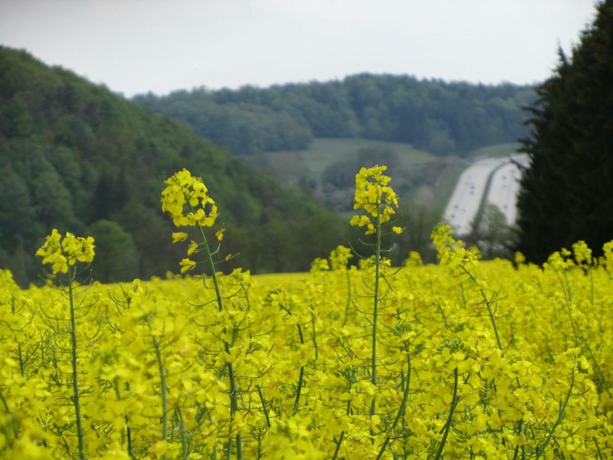 Neundorf  Ferienwohnung Brunow "In Der Natur Zuhause" מראה חיצוני תמונה